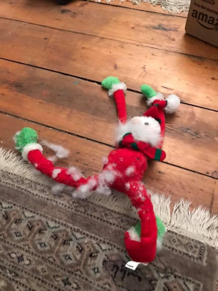 Week 7 Pre Christmas BootCamp: the home straight