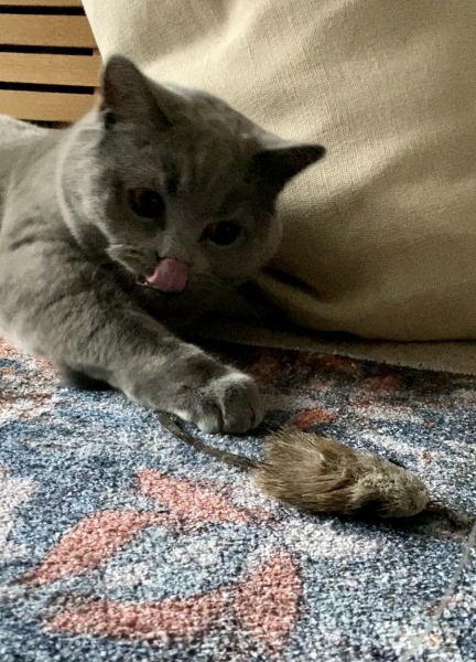 Thread 1 - Lifeboat Muster Point for TalkExiles