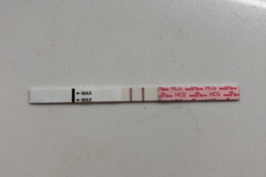 Due end of Aug/Sept babies 🤞🏻