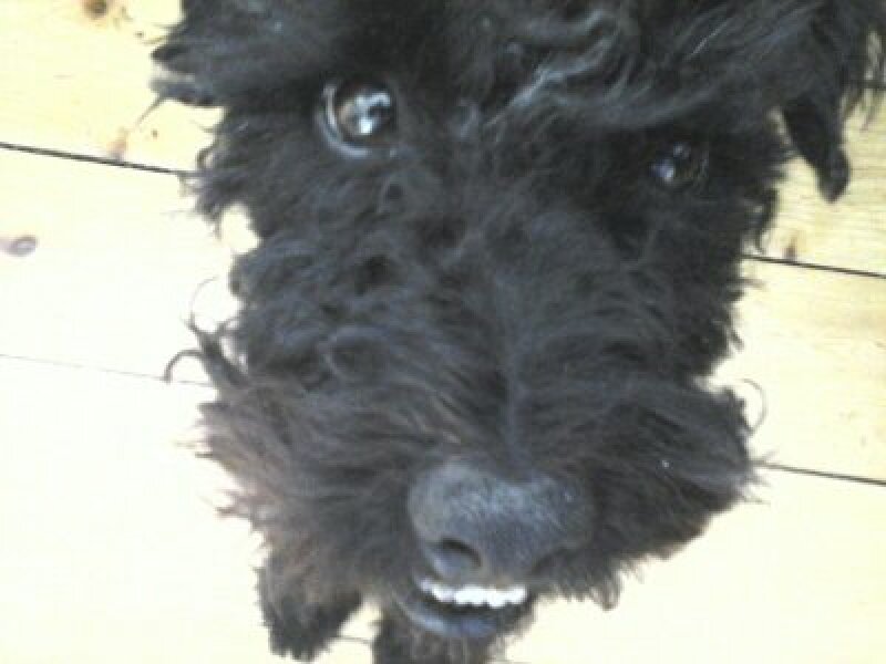 Lifeboat Muster Point for TalkExiles - Thread 2