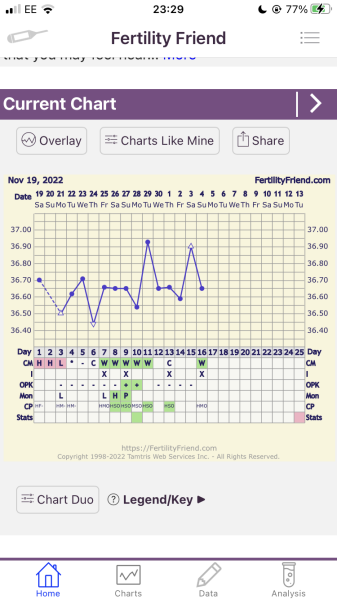 Am I even ovulating? 