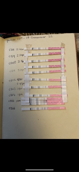Ovulation test opinion
