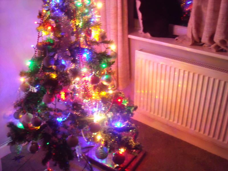 Show me your present pile