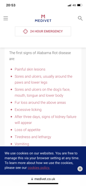 Lumps all over dog’s nose