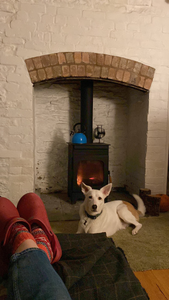 Can we please see pictures of your fireplaces and log burners ?