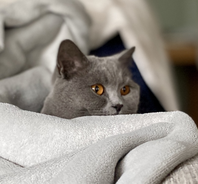 Lifeboat Muster Point for TalkExiles - Thread 2