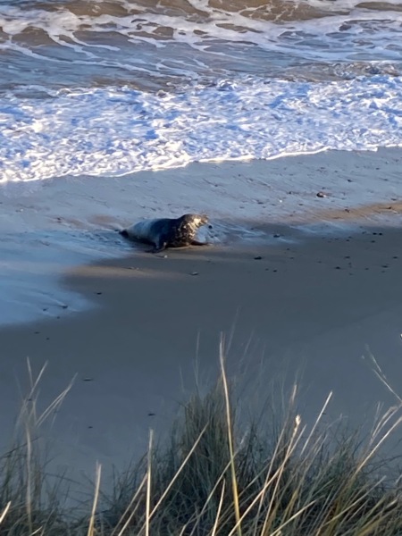 Come and tell me your dull and unexciting news 24: Calmly through the day 