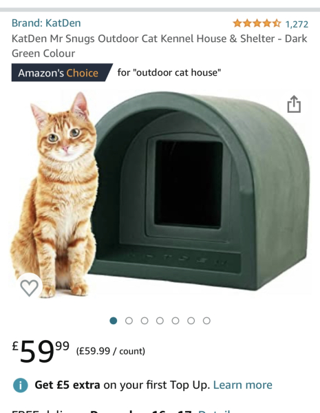 To let my cat out in -2 degrees overnight?