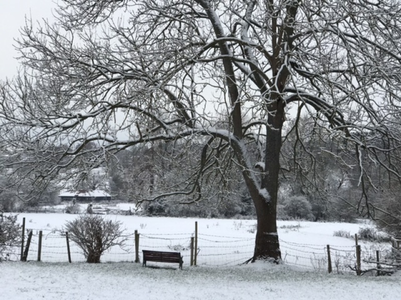 Come and tell me your dull and unexciting news 24: Calmly through the day 