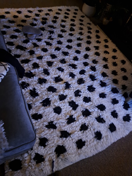 Please can we have a thread to show pictures of our favourite things in our houses?  