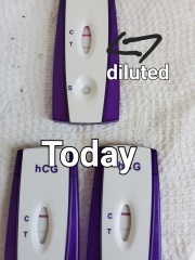 Do faint test lines indicate miscarriage? 