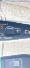 Pregnant or not 