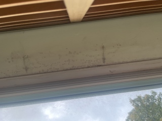 Mould in my flat, please help! (Yucky pictures attached)