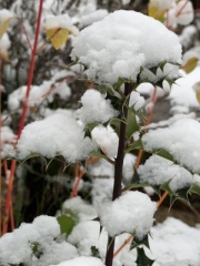 Lifeboat Muster Point for TalkExiles - Thread 2