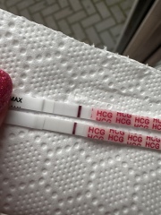 TTC after miscarriage Thread 14 🌈✨💕💙