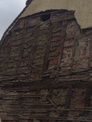How concerned would you be about cement render and damp?