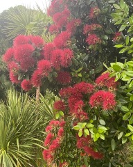 Frugal the flip to make the festivities fun