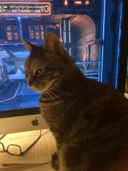Cats sitting where you don’t want them to!