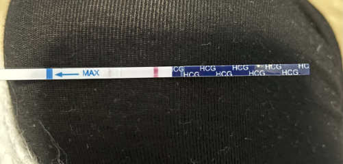 All I want for Christmas is a BFP- TTC September baby 🍁