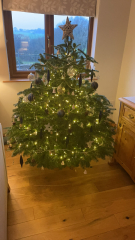 Show me your Christmas tree / decorations please. In need of inspiration