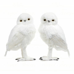 Swagger Inn 173 - Winter is coming, wrap up in someone warm.