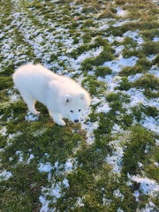 To feel sorry for people with horses?