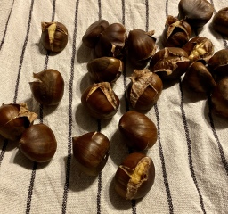 Thread 3 - TalkExiles: "The Planet Goes On Being Round"