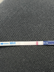 All I want for Christmas is a BFP- TTC September baby 🍁