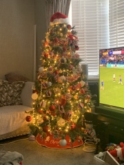 Show me your Christmas tree / decorations please. In need of inspiration