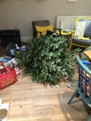 Cat versus Christmas tree - any pics? (lighthearted)