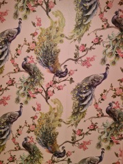 Please can we have a thread to show pictures of our favourite things in our houses?  