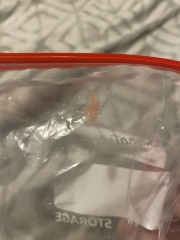 Any idea what this could be...GROSS PIC INCLUDED