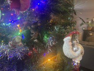 Cat versus Christmas tree - any pics? (lighthearted)