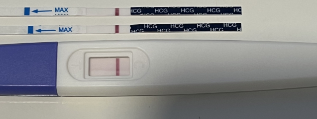 All I want for Christmas is a BFP- TTC September baby 🍁