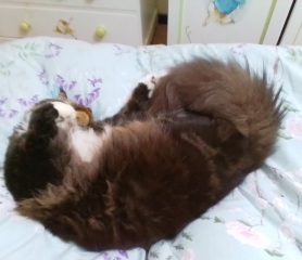 Come and tell me your dull and unexciting news 24: Calmly through the day 