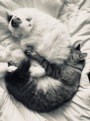 Show off your rescues!