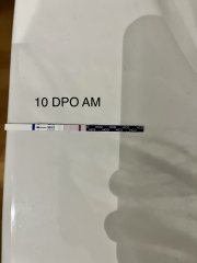 Anyone 2-3 dpo and want to chat?! 🎄