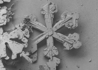 Thread 3 - TalkExiles: "The Planet Goes On Being Round"