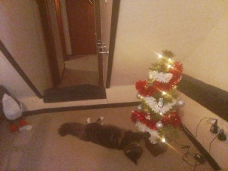 Come and tell me your dull and unexciting news 24: Calmly through the day 