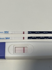 All I want for Christmas is a BFP- TTC September baby 🍁