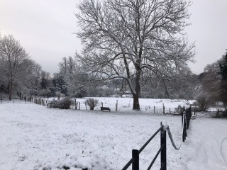 Come and tell me your dull and unexciting news 24: Calmly through the day 