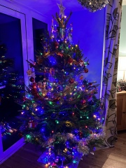 Show me your Christmas tree / decorations please. In need of inspiration