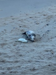 Come and tell me your dull and unexciting news 24: Calmly through the day 