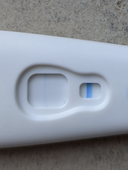 Evap line or Progesterone time?