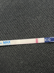 All I want for Christmas is a BFP- TTC September baby 🍁