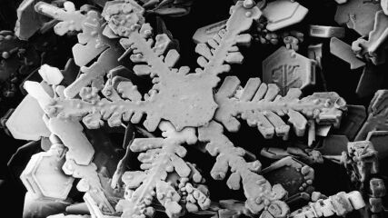 Thread 3 - TalkExiles: "The Planet Goes On Being Round"