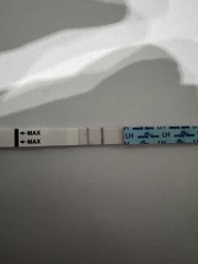 All I want for Christmas is a BFP- TTC September baby 🍁