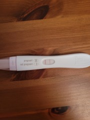 Due end of Aug/Sept babies 🤞🏻