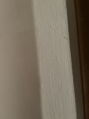Mould in my flat, please help! (Yucky pictures attached)