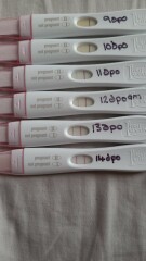 SEPT,OCT,NOV,DEC .. all the babies 👶🏼😂💖 part two of summer threads✨❤️🤣